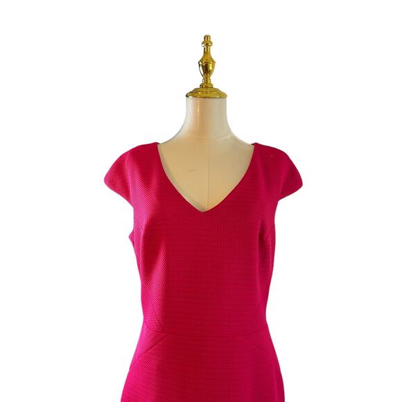 Caché Women's 10 Pink Textured Mesh Dress V Neck Cap Sleeve Fitted Mermaid Hem - Picture 9 of 12